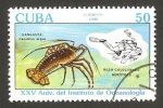 Sellos de America - Cuba -  fauna marina, langosta