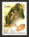 Sellos de America - Cuba -  chimpancé
