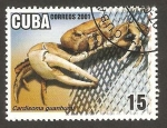 Sellos de America - Cuba -  fauna marina. cangrejo