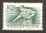Stamps Hungary -  pescador
