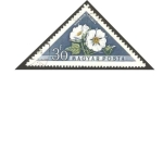 Stamps Hungary -  flora, kitifoliavitifolia