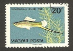 Stamps Hungary -  fauna marina, pez xiphophorus helleri