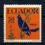 Stamps : America : Ecuador :  Mirlo