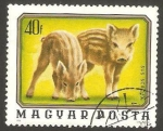 Stamps Hungary -  2480 - fauna salvaje, jabalíes