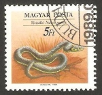 Stamps Hungary -  3225 - Reptil natrix