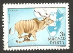 Stamps Hungary -  Antílope