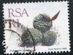 Stamps South Africa -  Flor