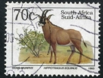 Sellos de Africa - Sud�frica -  Ciervo