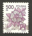 Stamps Poland -  3057 - flor rosa