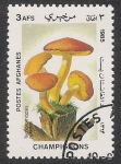 Stamps Afghanistan -  SETAS-HONGOS: 1.100.001,00-Tricholomópsis rútilans