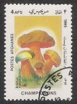 Stamps Asia - Afghanistan -  SETAS-HONGOS: 1.100.002,00-Bolétus miniatóporus 