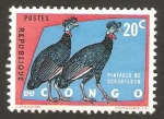 Stamps Africa - Republic of the Congo -  pavos pintados