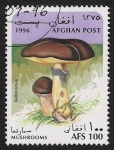 Stamps : Asia : Afghanistan :  SETAS-HONGOS: 1.100.011,00-Suillus luteus 