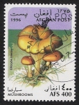 Stamps Asia - Afghanistan -  SETAS-HONGOS: 1.100.013,00-Clitocybe Inversa