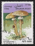 Stamps Asia - Afghanistan -  SETAS-HONGOS: 1.100.015,00-Macrolepiota prócera