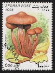 Stamps Afghanistan -  SETAS-HONGOS: 1.100.022,00-Collybia fusipes 