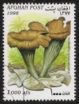Stamps Afghanistan -  SETAS-HONGOS: 1.100.024,00-Craterellus cornucopioides