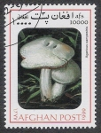 Stamps Afghanistan -  SETAS-HONGOS: 1.100.031,00-Agaricus campestris