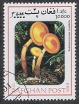 Stamps Asia - Afghanistan -  SETAS-HONGOS: 1.100.033,00-Kuehneromyces mutabilis