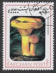 Stamps Asia - Afghanistan -  SETAS-HONGOS: 1.100.034,00-Lactarius deterrimus