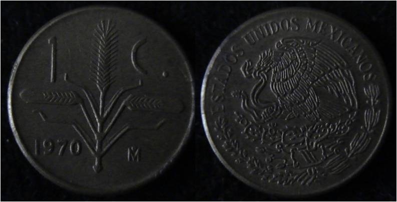 ESPIGA DE TRIGO