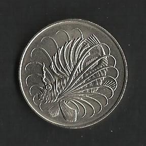 Pez zebra / anverso