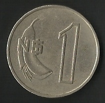 UN NUEVO PESO ( FRONTAL)