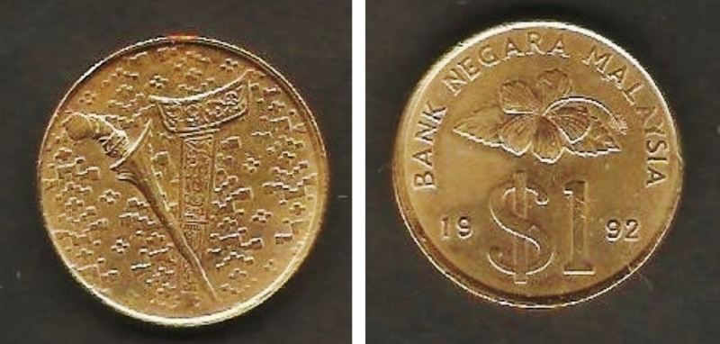 Daga nativa y vaina