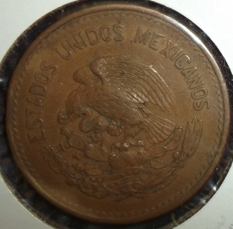 1955 (Reverso)