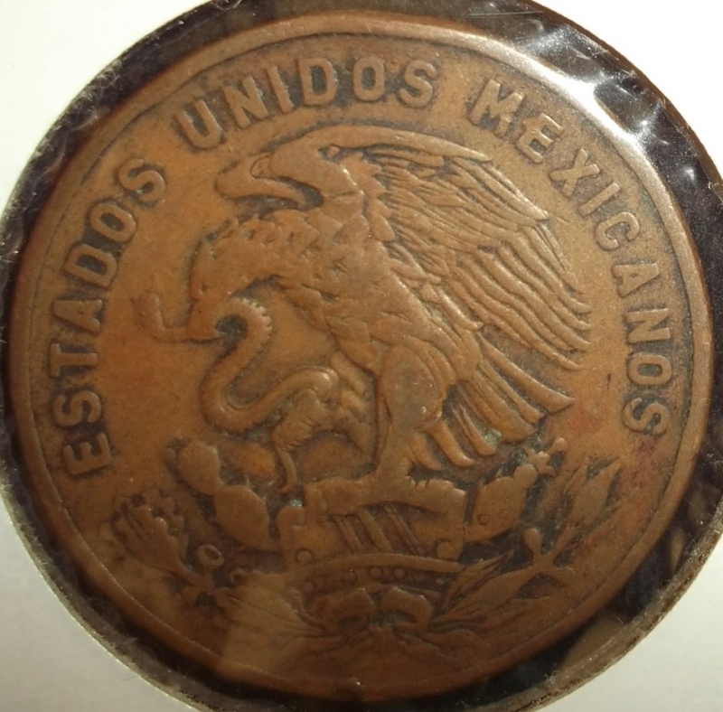 1955 (Reverso)