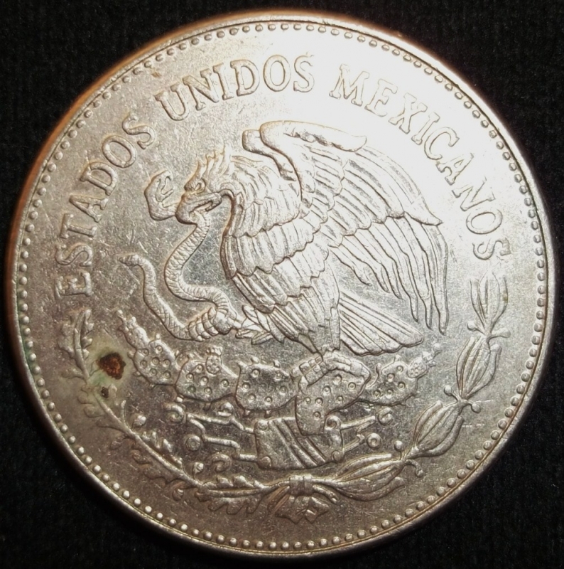 1983 (Reverso)