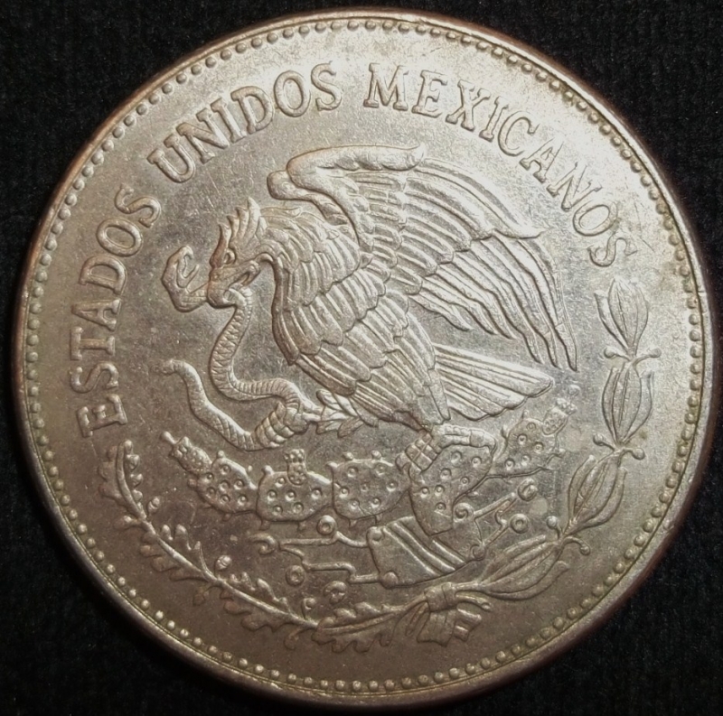 1984 (Reverso)
