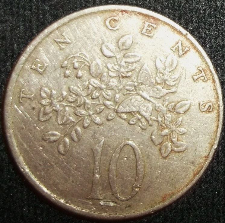 1981 (Reverso)
