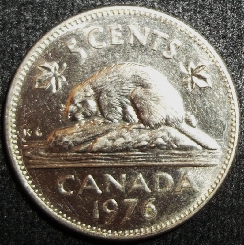 1976 (Reverso)