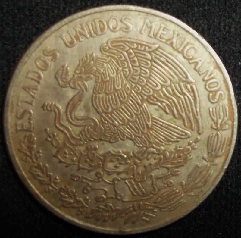 1977 (Reverso)
