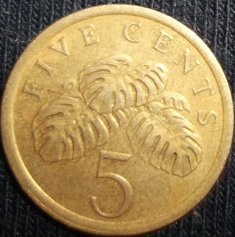 1989 (Reverso)