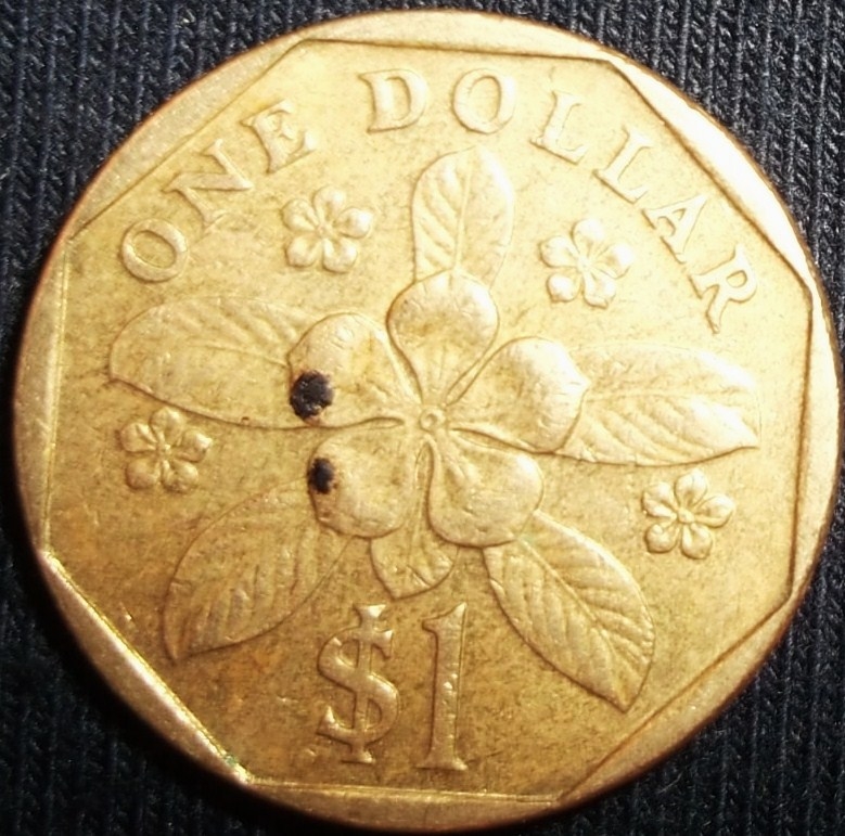 1989 (Reverso)