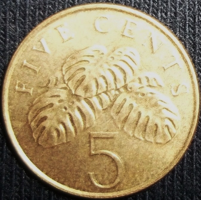 1995 (Reverso)