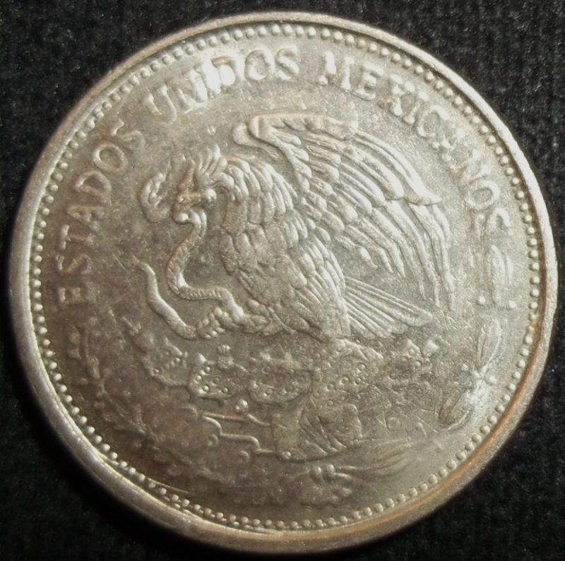 1988 (Reverso)