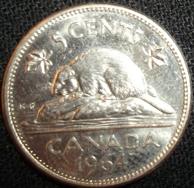 1964 (Reverso)