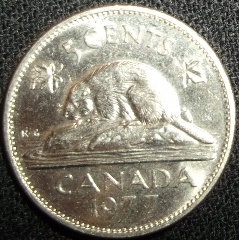 1977 (Reverso)