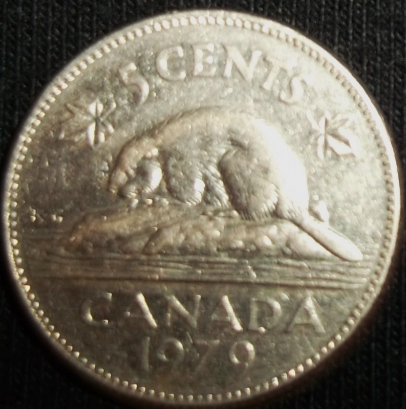 1979 (Reverso)
