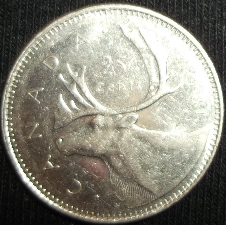 1981 (Reverso)