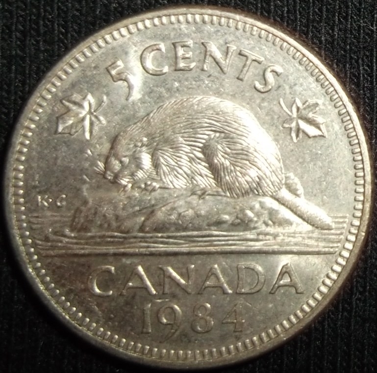 1984 (Reverso)