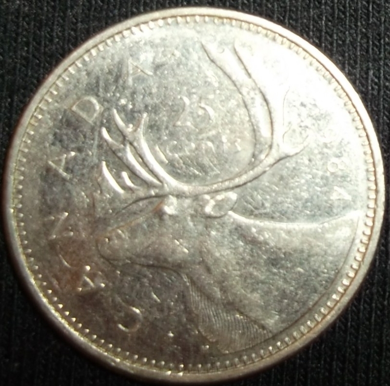 1984 (Reverso)