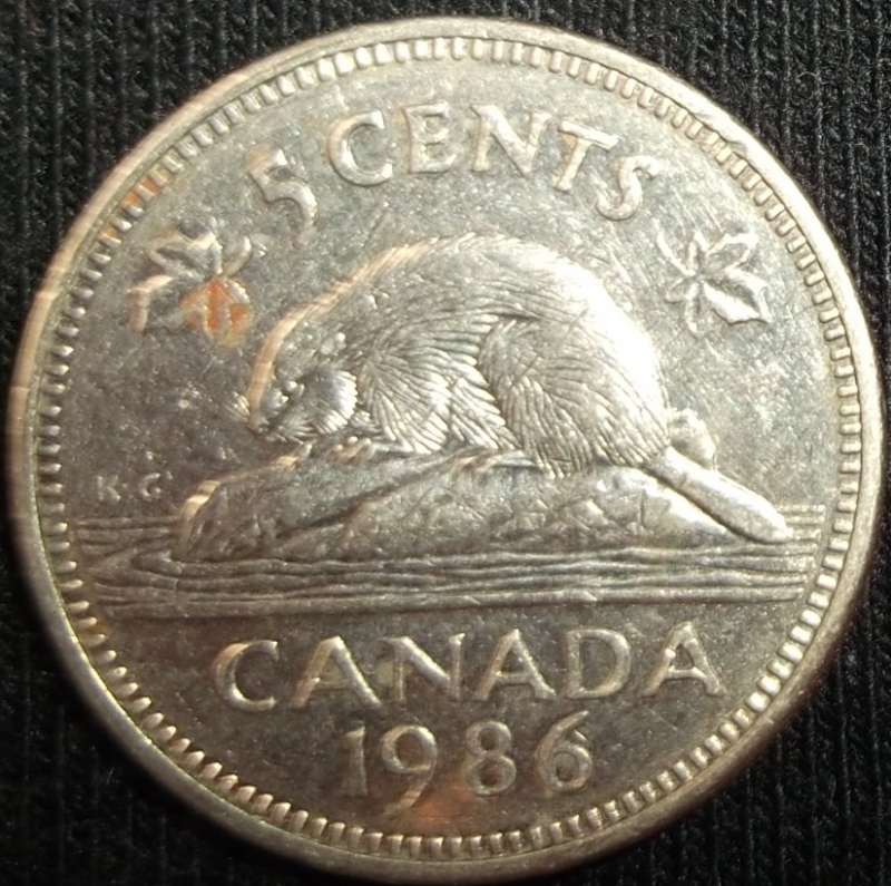 1986 (Reverso)