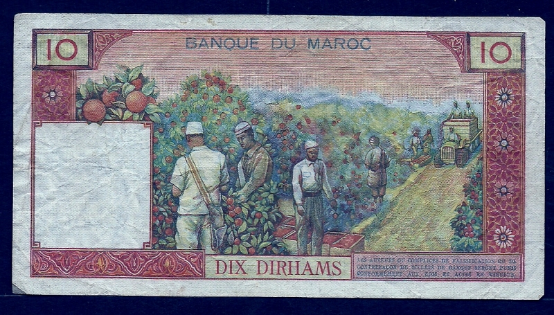 Plantacion de citricos