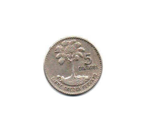 LIBRE  CREZCA  FECUNDO  (Reverso)
