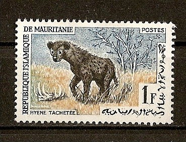 Hyene Tachatee.