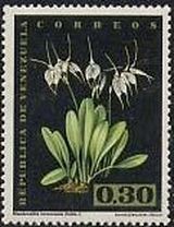 VENEZUELA 1962 1437 Sello Nuevo Serie Flores Orquidea